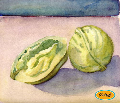 Charlotte Scheel akavarel water color waldnødder wald nuts